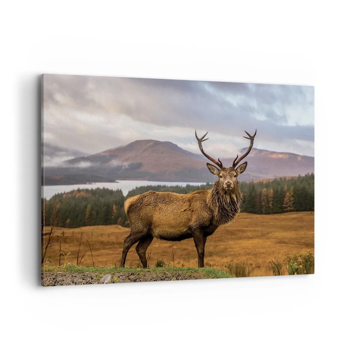 Quadro su tela - Stampe su Tela - Un cervo sullo sfondo di un paesaggio montano con laghi e foresta - 100x70cm - Maestà della natura - Decorazione murale moderna per soggiorno e camera da letto ARTTOR