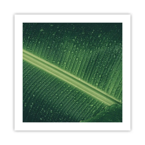 Poster - La struttura del verde - 50x50 cm