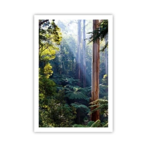 Poster - La favola del bosco - 61x91 cm