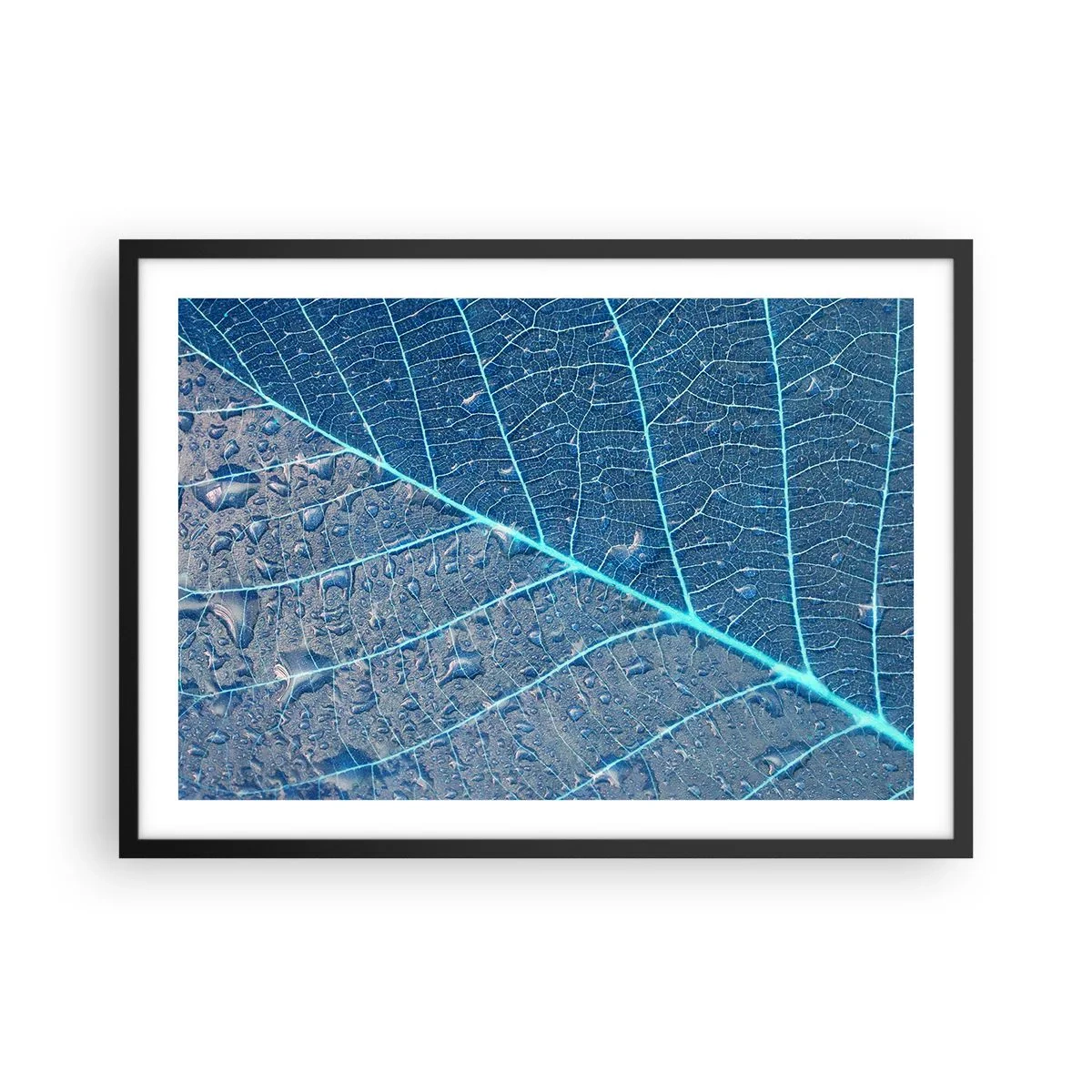 Poster in cornice nera - Una foglia nei toni del blu con gocce d'acqua - 70x50cm - Vita nel blu - Decorazione murale moderna per soggiorno e camera da letto ARTTOR