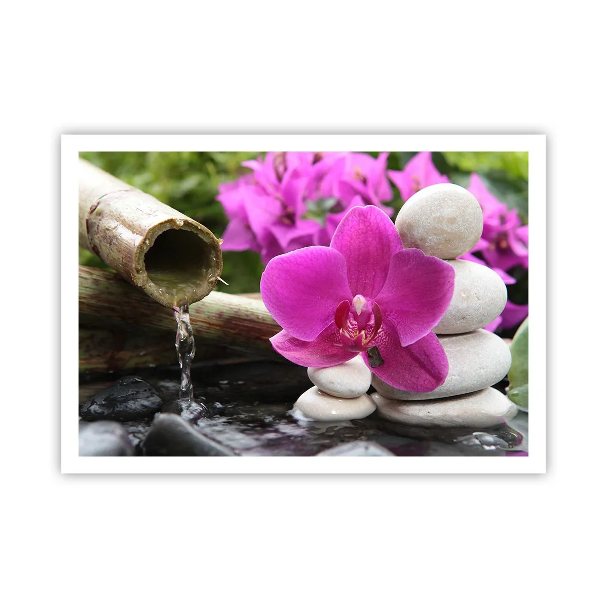 Poster - Orchidea viola, pietre e bambù con acqua in un ambiente rilassante - 100x70cm - E già ti riposi - Decorazione murale moderna per soggiorno e camera da letto ARTTOR