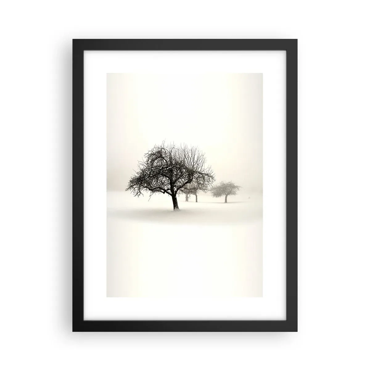 Poster in cornice nera - Sogno invernale - 30x40 cm