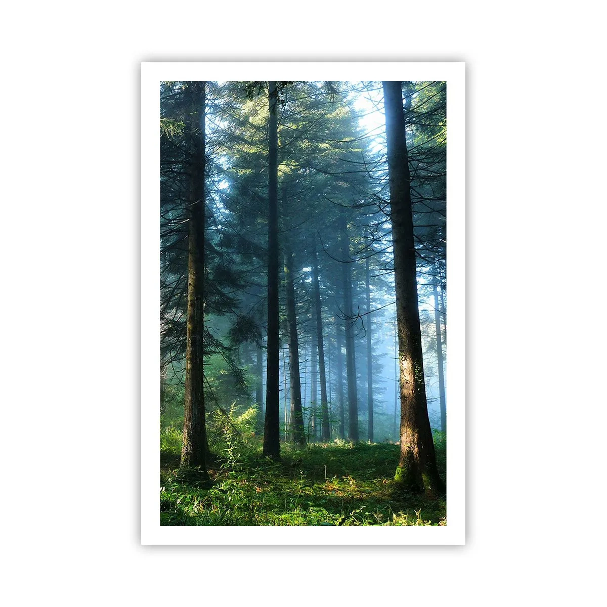 Poster - Raggiante all'alba - 61x91 cm