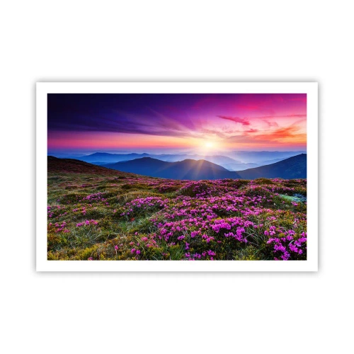 Poster - Il profumo dei fiori freschi del campo - 91x61 cm