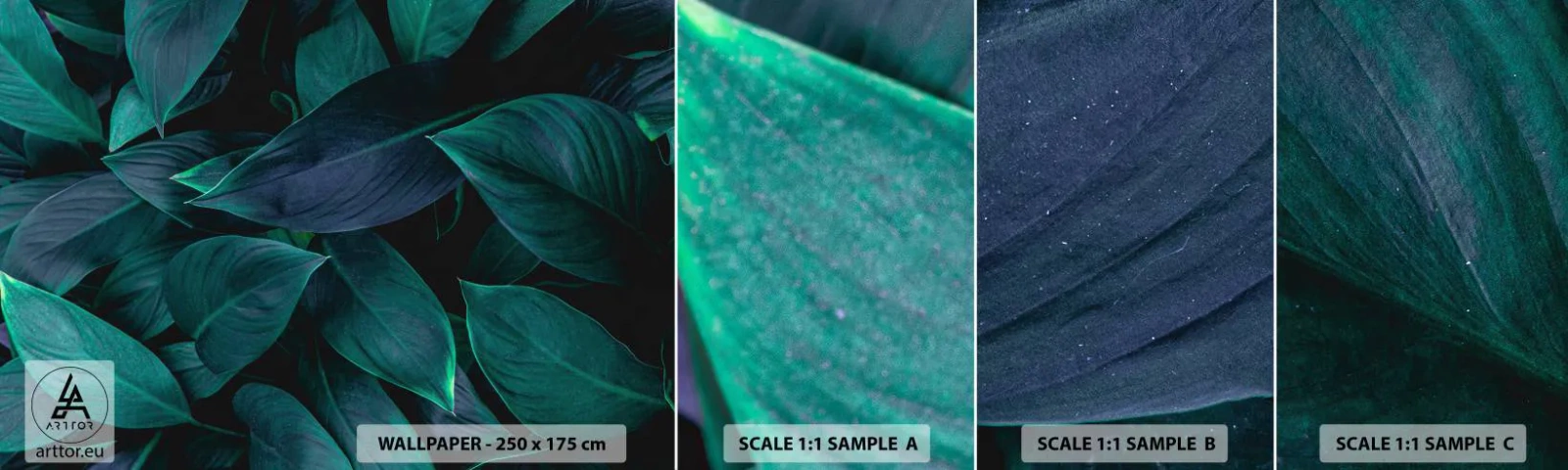 Campione di Fotomurale Adesivo Deluxe Sticker - Il verde puro - Foglie, Natura, Botanica - 100x30 cm