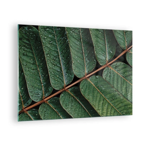 Quadro su vetro - Primo piano di foglie verdi con gocce d'acqua - 70x50cm - Al ritmo verde - Decorazione murale moderna per soggiorno e camera da letto ARTTOR
