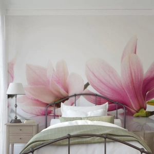 Fotomurali Premium Canvas - Delicati come un soffio di primavera - Fiore, Magnolia, Natura - 450x315 cm