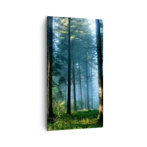 Quadro su tela - Stampe su Tela - Raggiante all'alba - 55x100 cm