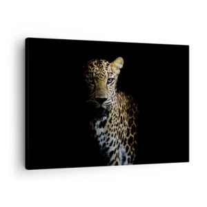 Quadro su tela - Stampe su Tela - Un leopardo su sfondo scuro con sguardo intenso - 70x50cm - Bellezza tenebrosa - Decorazione murale moderna per soggiorno e camera da letto ARTTOR