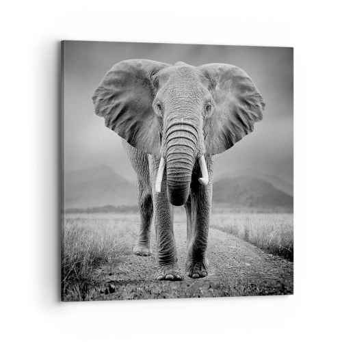 Quadro su tela - Stampe su Tela - Il padrone di casa dà il benvenuto - 70x70 cm