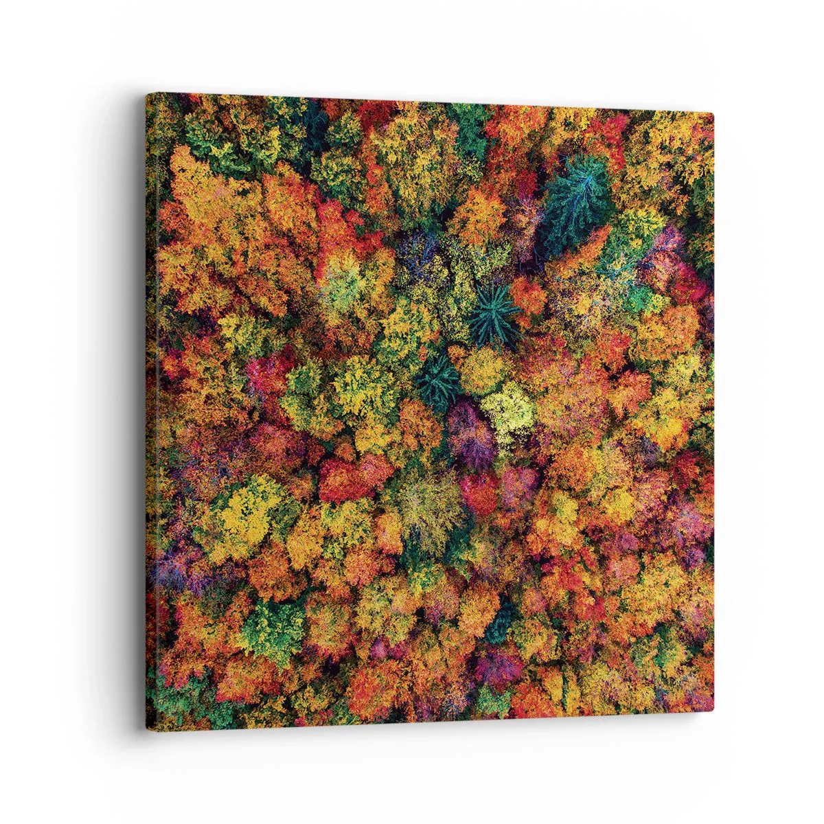 Quadro su tela - Stampe su Tela - Il bouquet degli alberi d'autunno - 30x30 cm