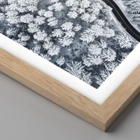 Rovere chiaro