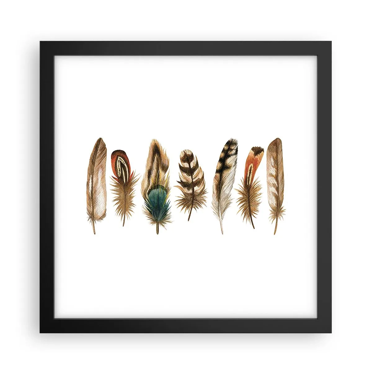 Poster in cornice nera - Composizione di piume - 30x30 cm