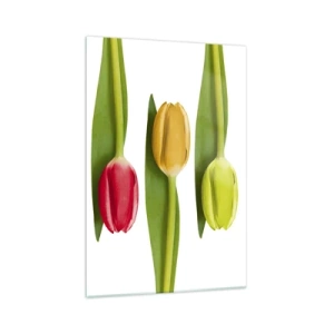 Quadro su vetro - Tulipani multicolori disposti in fila su uno sfondo bianco - 70x100cm - Composizione arcobaleno - Decorazione murale moderna per soggiorno e camera da letto ARTTOR
