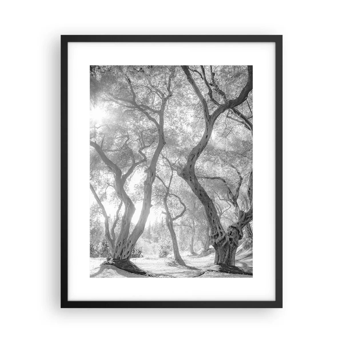 Poster in cornice nera - Nell'orto degli ulivi - 40x50 cm