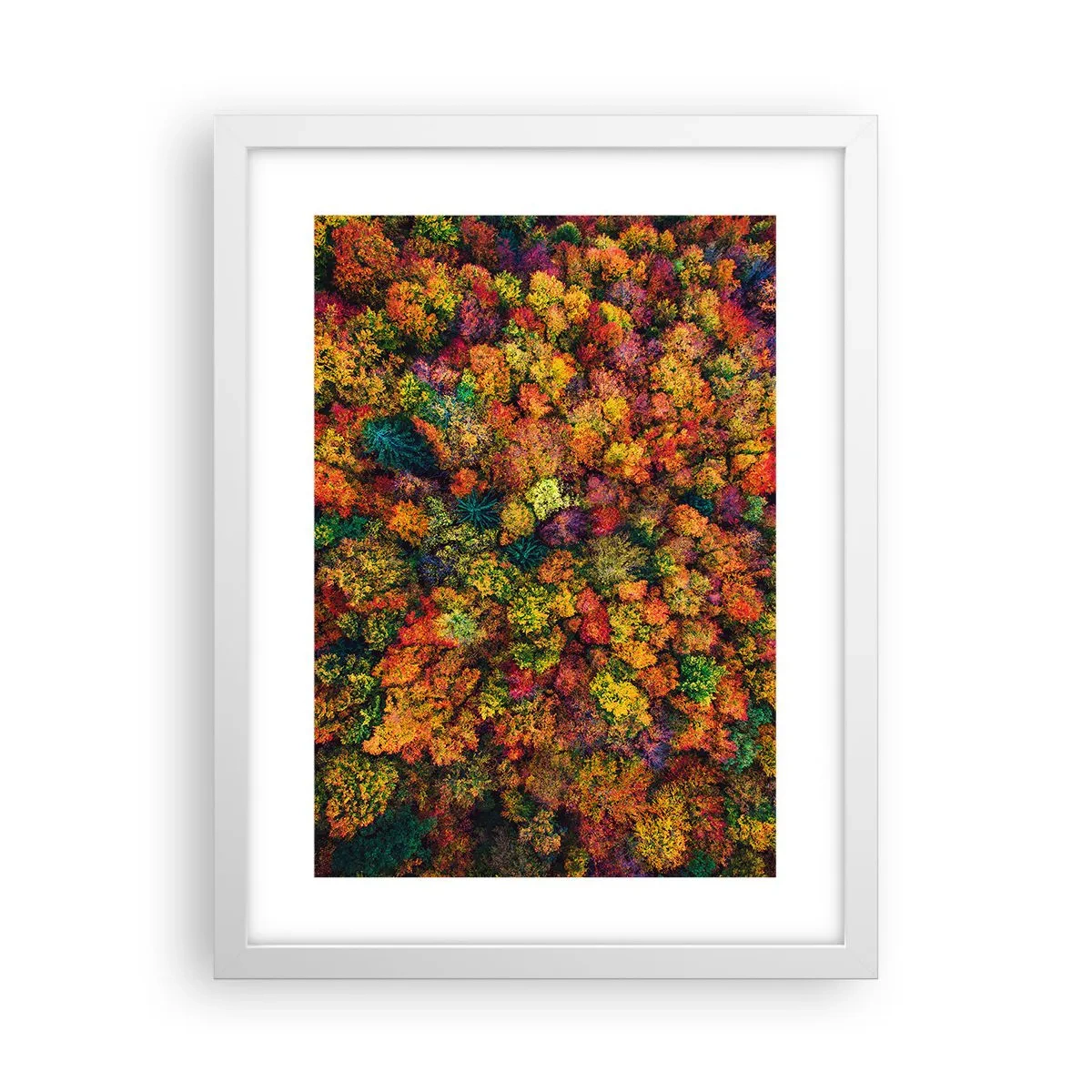 Poster in cornice bianca - Il bouquet degli alberi d'autunno - 30x40 cm