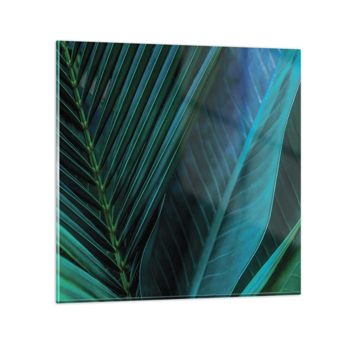 Quadro su vetro - Anatomia del verde - 40x40 cm