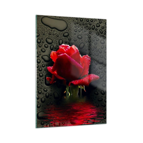 Quadro su vetro - Rosa rossa con gocce d'acqua su sfondo scuro - 50x70cm - Rosso e nero - Decorazione murale moderna per soggiorno e camera da letto ARTTOR