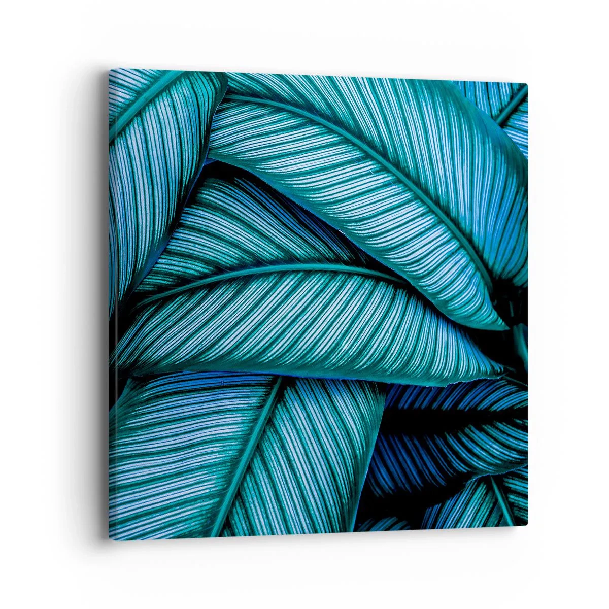 Quadro su tela - Stampe su Tela - Le linee della vita - 40x40 cm