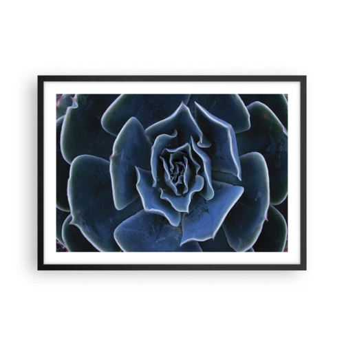 Poster in cornice nera - Primo piano di una rosetta succulenta verde - 70x50cm - Fiore del deserto - Decorazione murale moderna per soggiorno e camera da letto ARTTOR