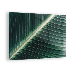 Quadro su vetro - Dettaglio di una foglia di banano in una tonalità di verde intenso - 70x50cm - Il ritmo della natura - Decorazione murale moderna per soggiorno e camera da letto ARTTOR