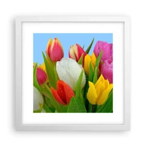Poster in cornice bianca - Fiori multicolori nella rugiada - 30x30 cm