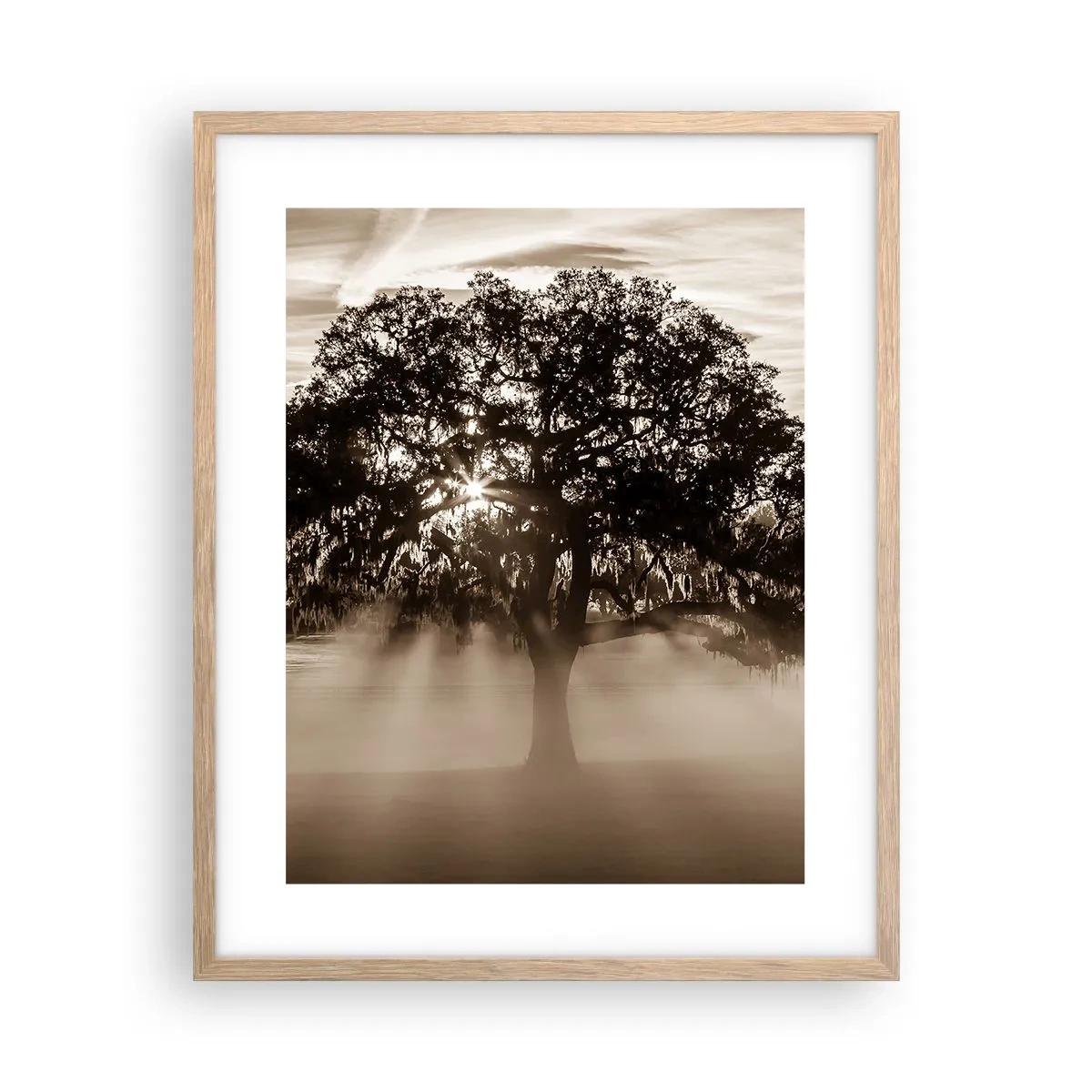 Poster in cornice rovere chiaro - L'albero delle sole buone notizie - 40x50 cm