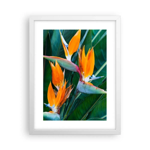 Poster in cornice bianca - È un fiore o un uccello? - 30x40 cm