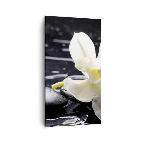 Quadro su tela - Stampe su Tela - Studio in bianco e nero - 45x80 cm