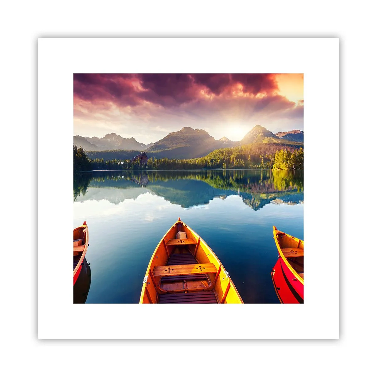 Poster - Niente contro natura - 30x30 cm