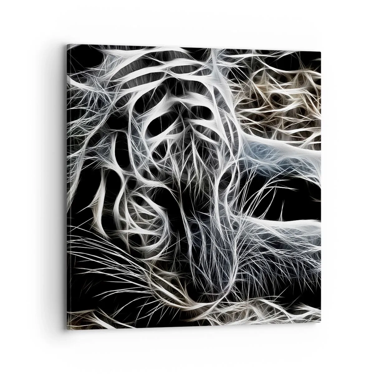 Quadro su tela - Stampe su Tela - Studio di leggerezza felina - 70x70 cm