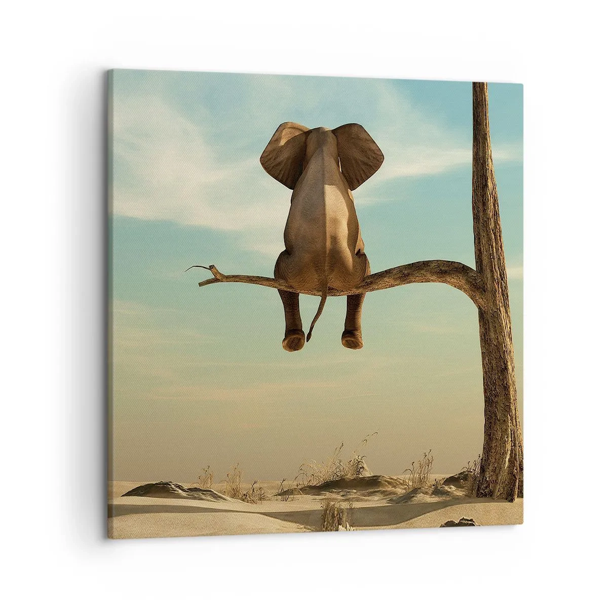Quadro su tela - Stampe su Tela - Nuovo punto di vista - 50x50 cm
