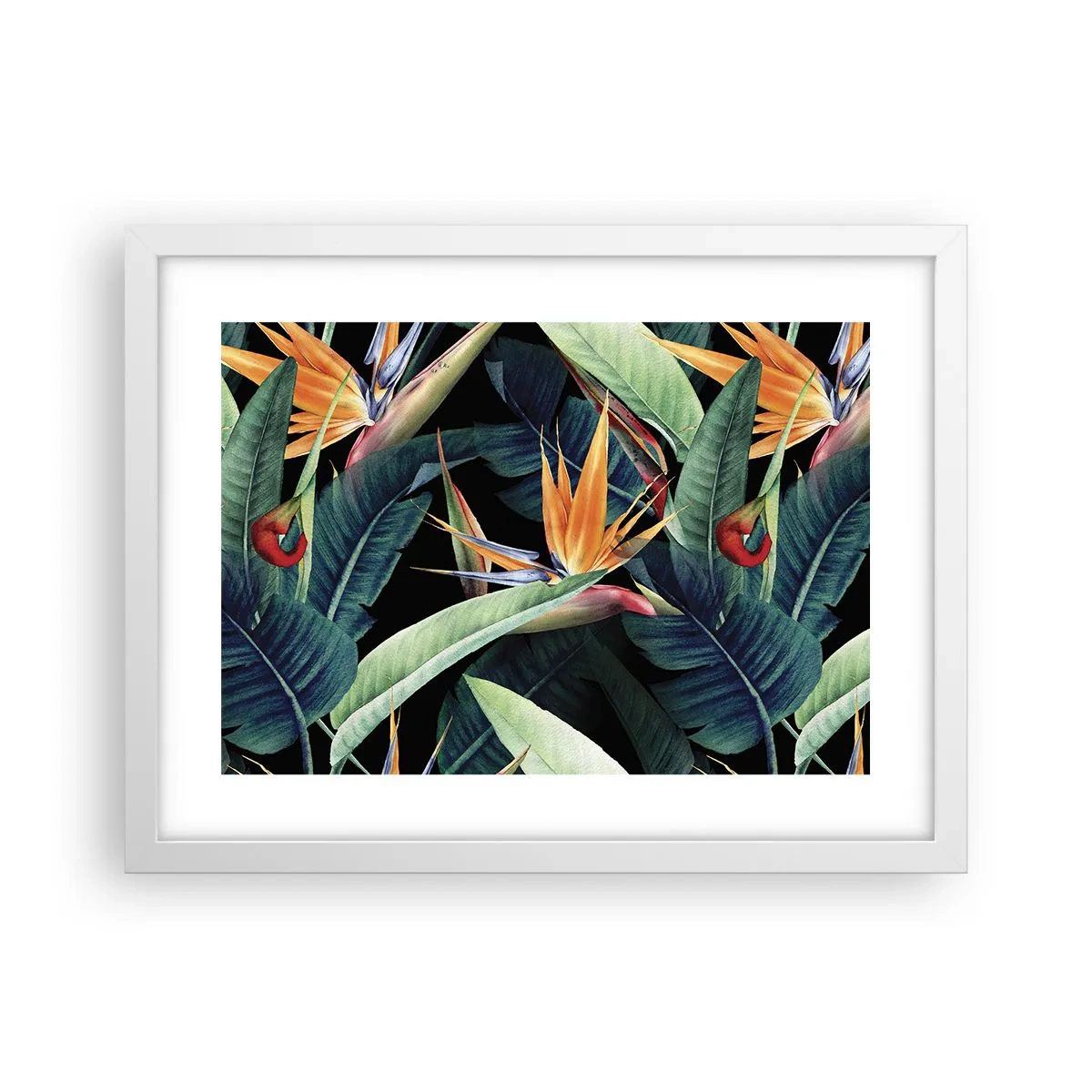 Poster in cornice bianca - I fiori fiammeggianti dei tropici - 40x30 cm