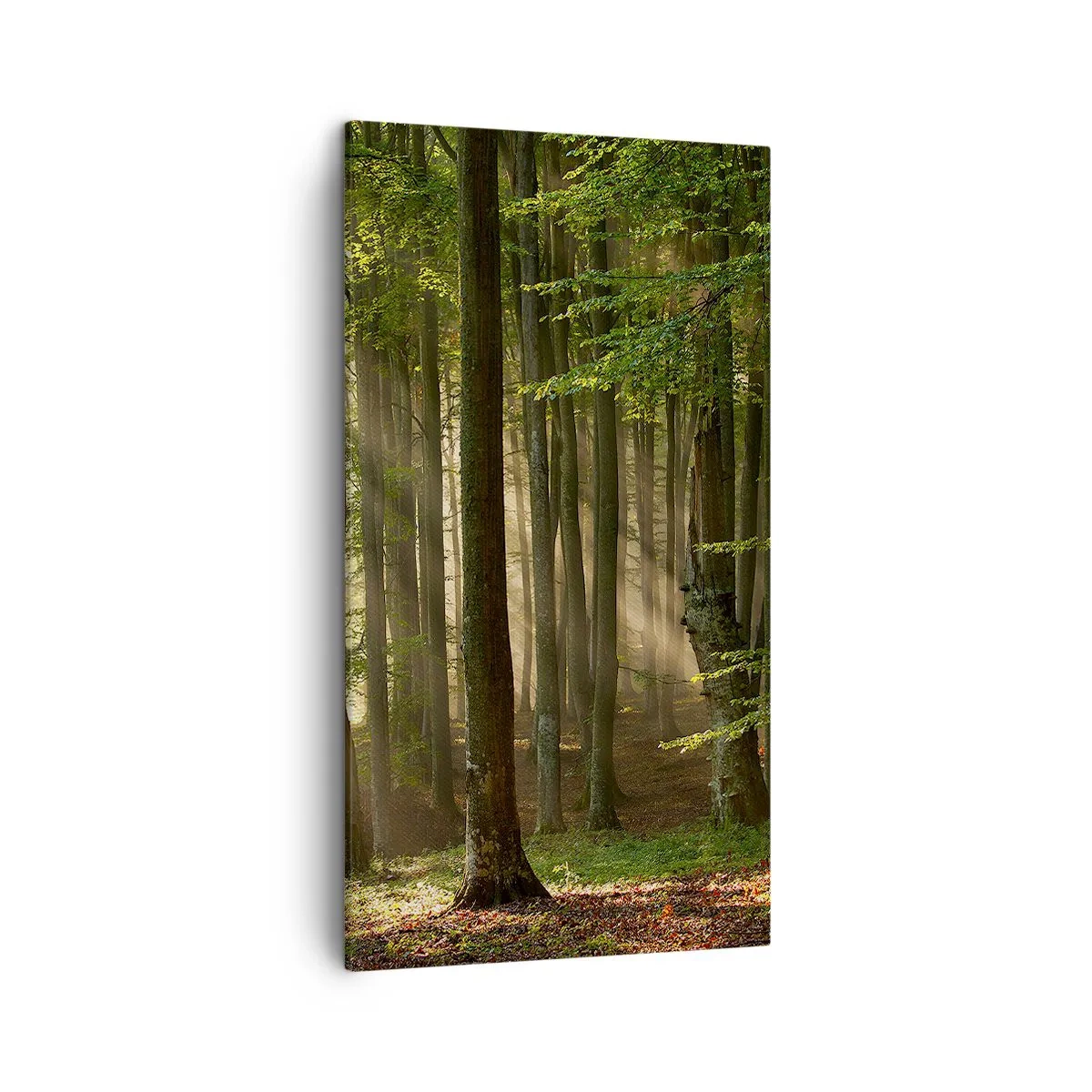 Quadro su tela - Stampe su Tela - Raggiante in un mattino di primavera - 45x80 cm