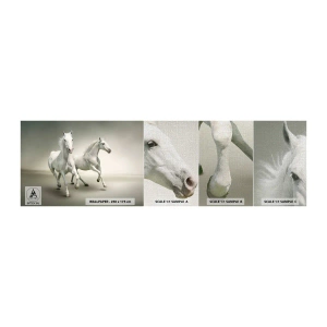 Campione di Fotomurale Premium Canvas - White power! - Animali, Cavalli, Natura - 100x30 cm