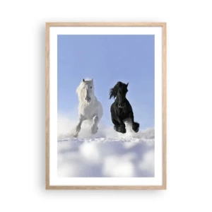 Poster in cornice rovere chiaro - Galoppo in bianco e nero - 50x70 cm