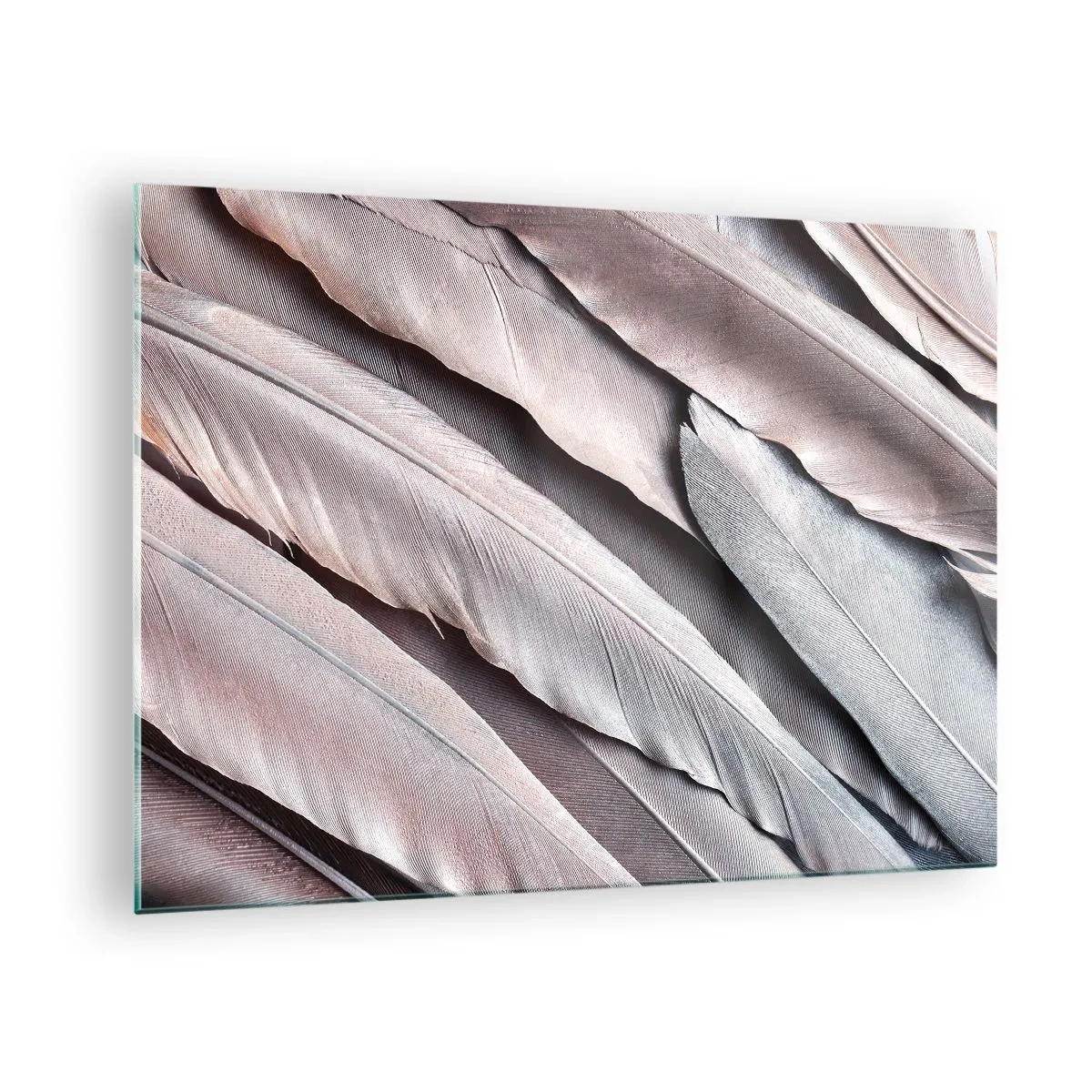Quadro su vetro - Primo piano di piume pastello nelle tonalità del rosa e dell'argento - 70x50cm - Argento rosato - Decorazione murale moderna per soggiorno e camera da letto ARTTOR
