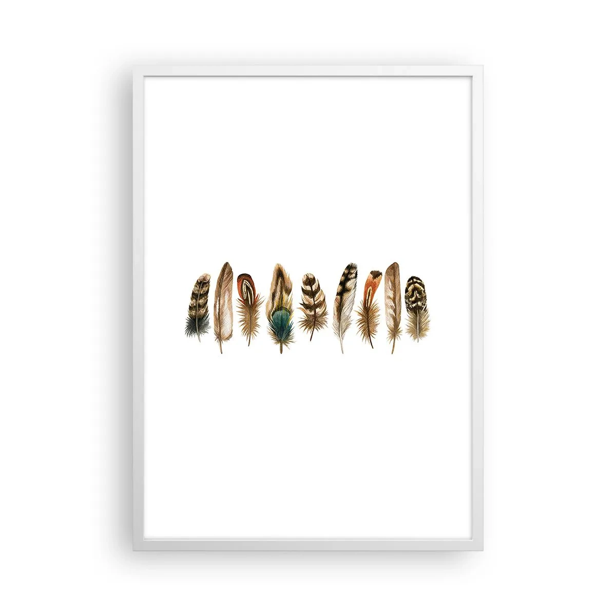 Poster in cornice bianca - Composizione di piume - 50x70 cm