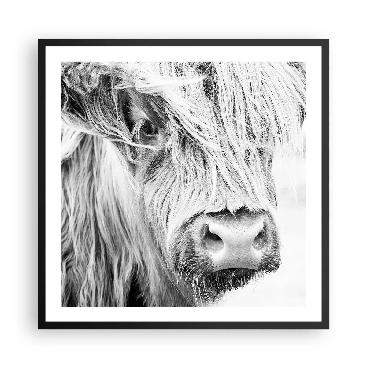 Poster in cornice nera - Selvaticità scozzese - 60x60 cm