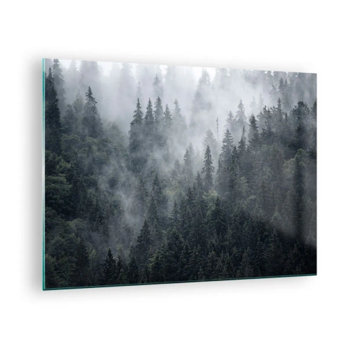 Quadro su vetro - Nebbia sospesa sulla fitta foresta di conifere al mattino - 70x50cm - Alba nel bosco - Decorazione murale moderna per soggiorno e camera da letto ARTTOR