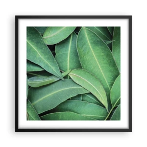 Poster in cornice nera - Succosi e freschi - 50x50 cm