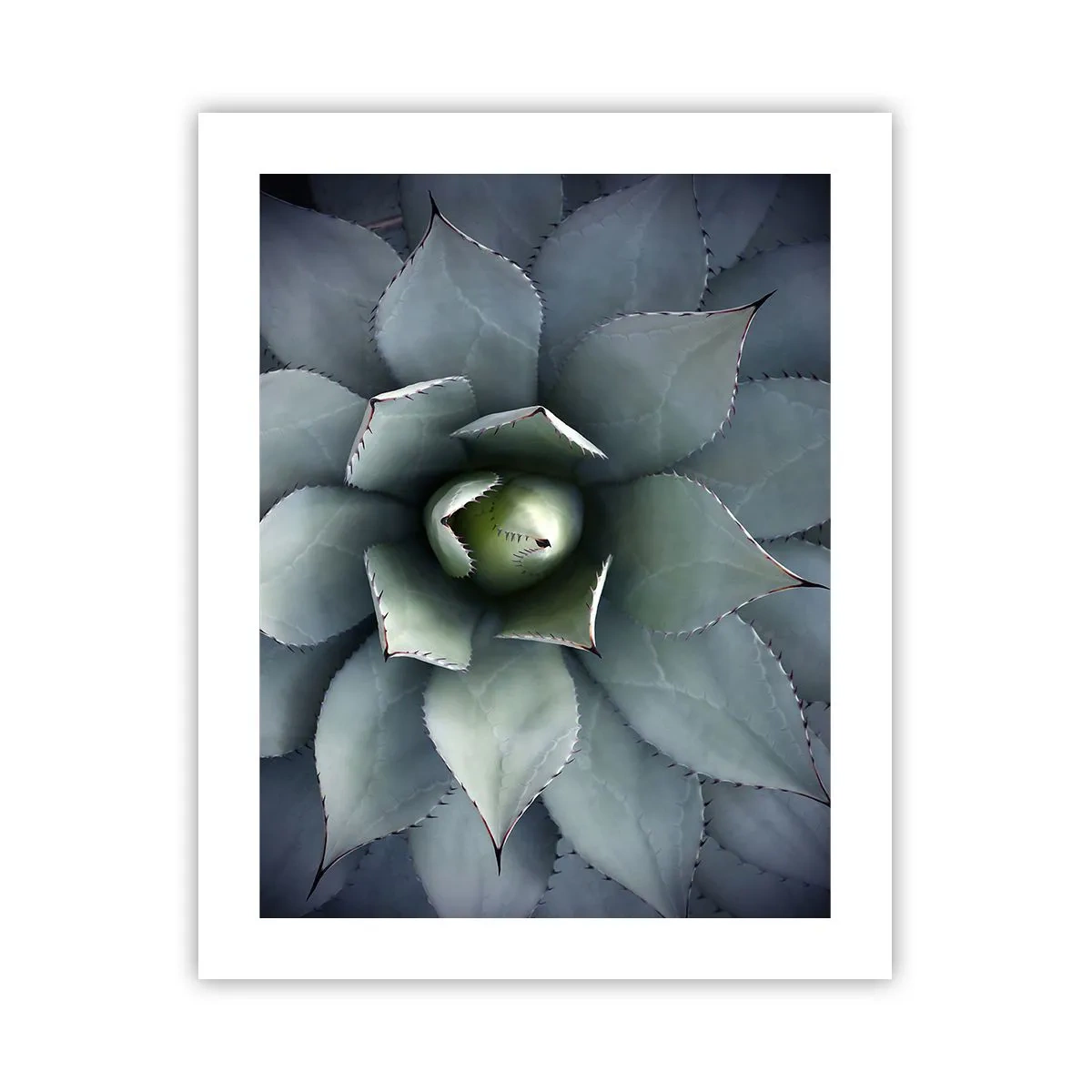 Poster - Adesca e minaccia - 40x50 cm