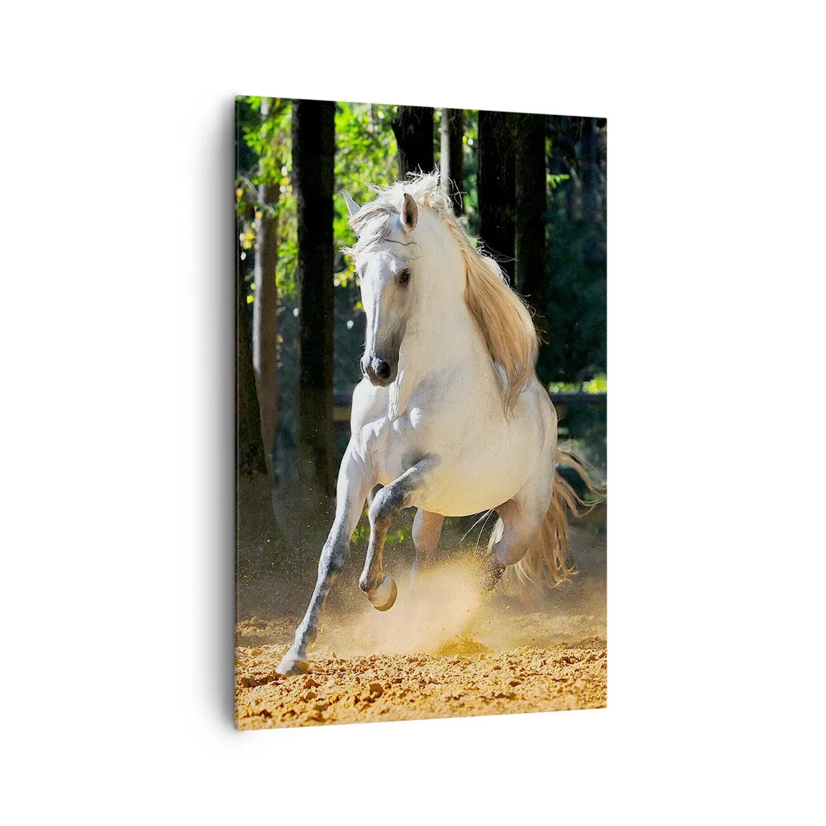 Quadro su tela - Stampe su Tela - Un cavallo bianco che galoppa attraverso una radura nella foresta - 80x120cm - Come nei racconti fantasy - Decorazione murale moderna per soggiorno e camera da letto ARTTOR