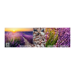 Campione Di Fotomurale Standard Eco - Campo profumato - Paesaggio, Campo di lavanda, Provenza - 100x30 cm