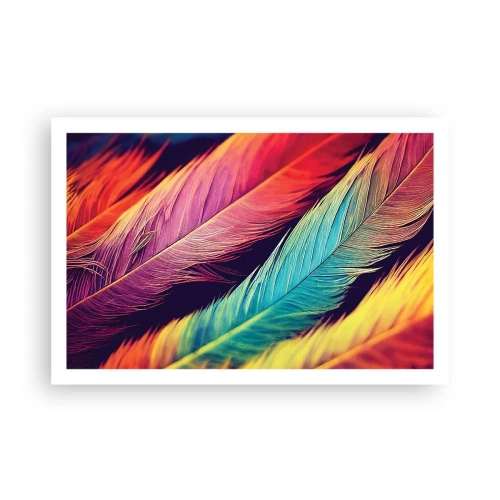 Poster - Arcobaleno piumato - 91x61 cm