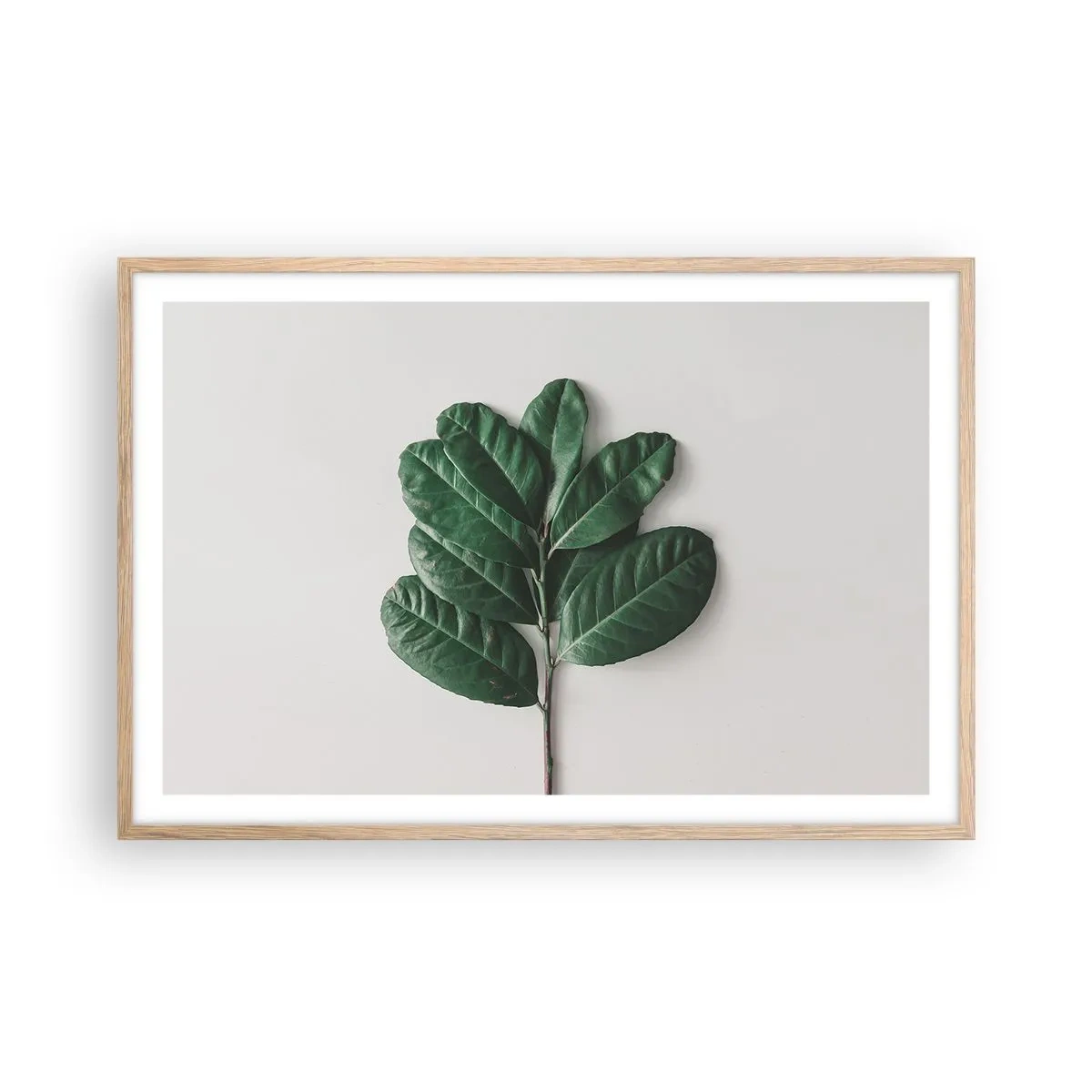 Poster in cornice rovere chiaro - Il disegno della natura stessa - 91x61 cm