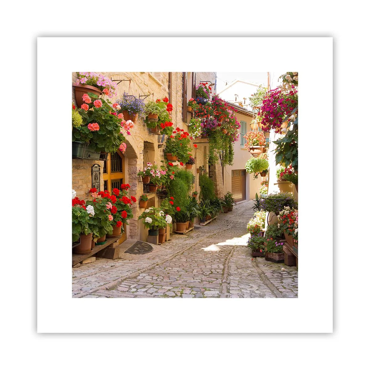 Poster - Un'esplosione di fiori - 30x30 cm