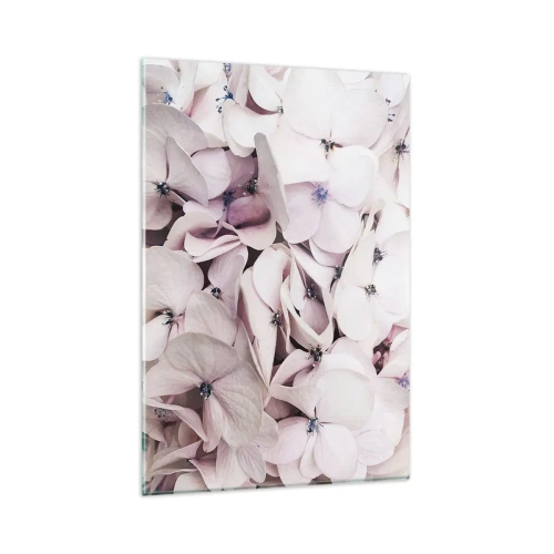 Quadro su vetro - Delicate ortensie bianche in tonalità pastello - 80x120cm - Un'alluvione di fiori - Decorazione murale moderna per soggiorno e camera da letto ARTTOR