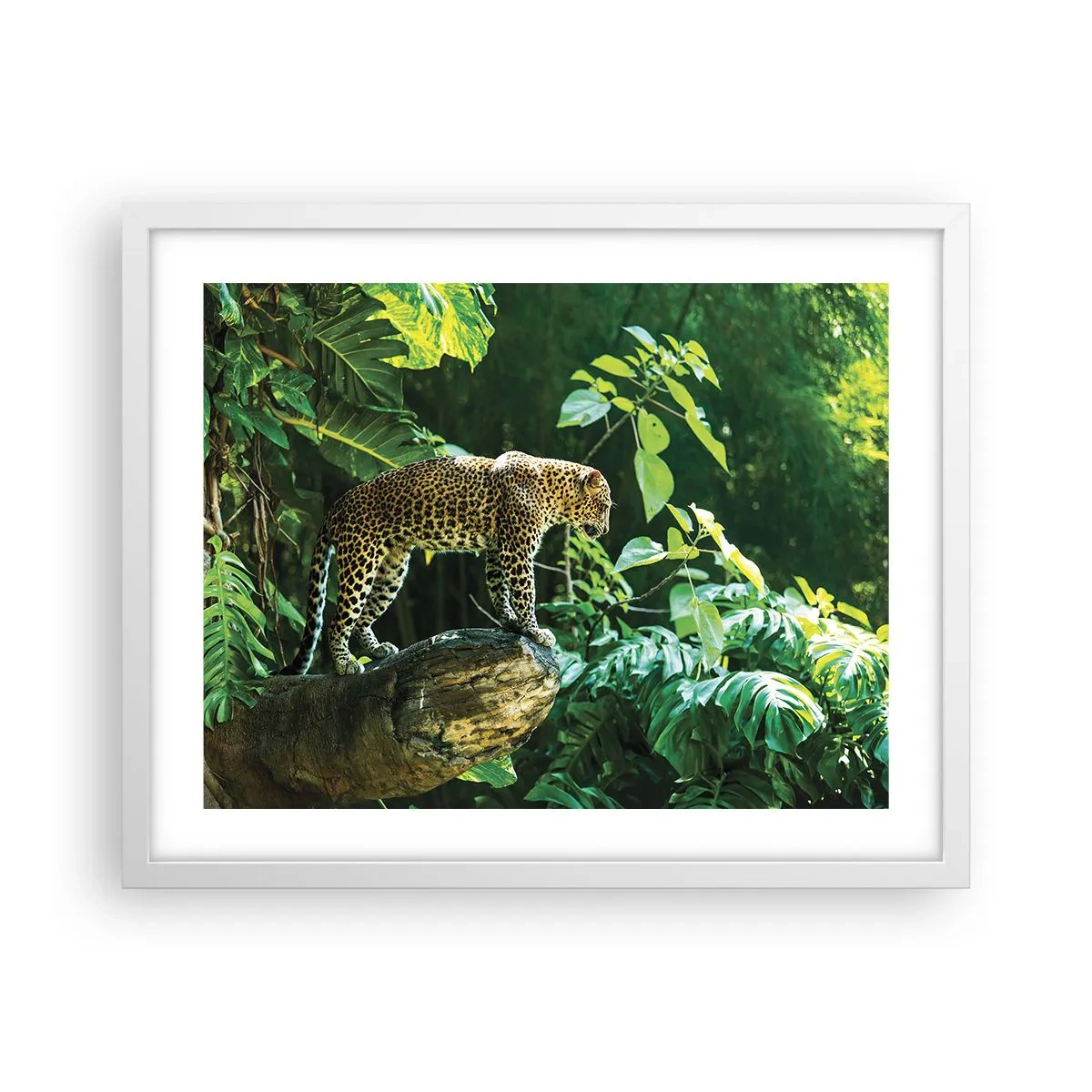 Poster in cornice bianca - A caccia? - 50x40 cm