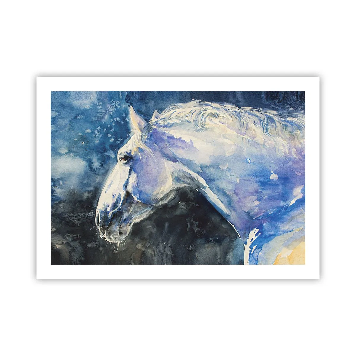 Poster - Ritratto in luce blu - 70x50 cm